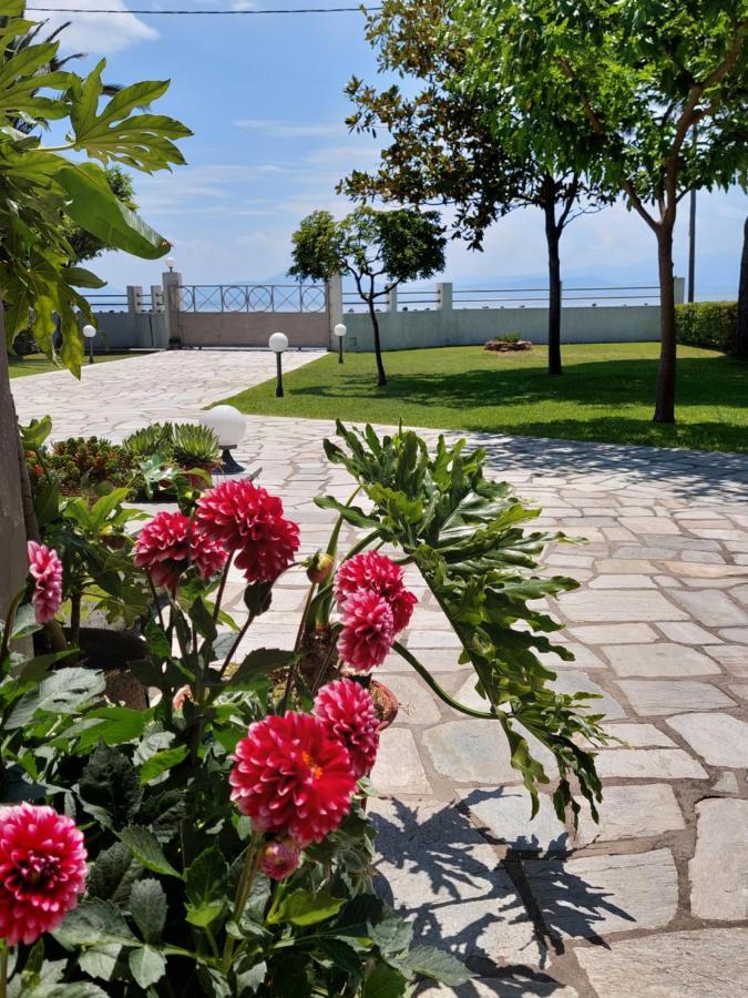Platanidia Apartment Pelion Kültér fotó