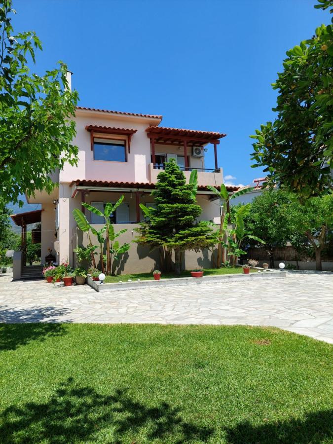 Platanidia Apartment Pelion Kültér fotó