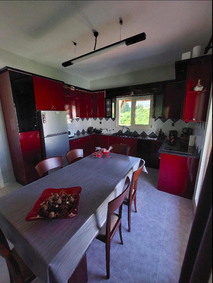 Platanidia Apartment Pelion Kültér fotó