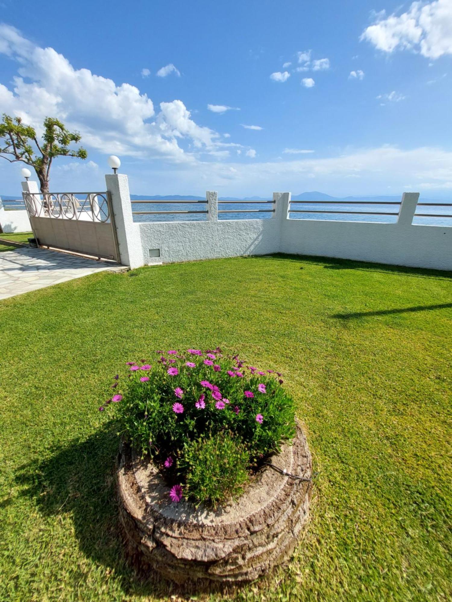 Platanidia Apartment Pelion Kültér fotó