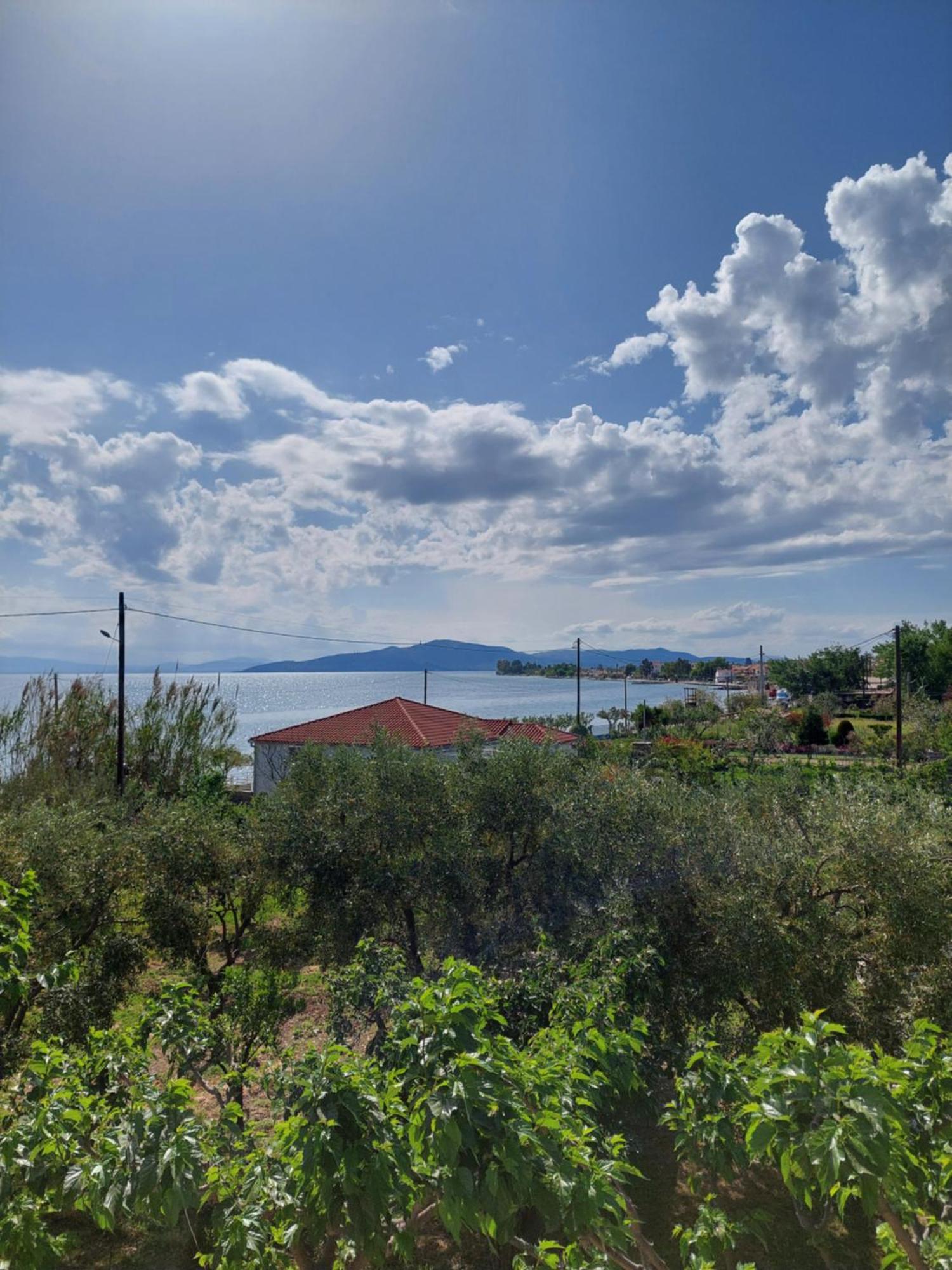 Platanidia Apartment Pelion Kültér fotó
