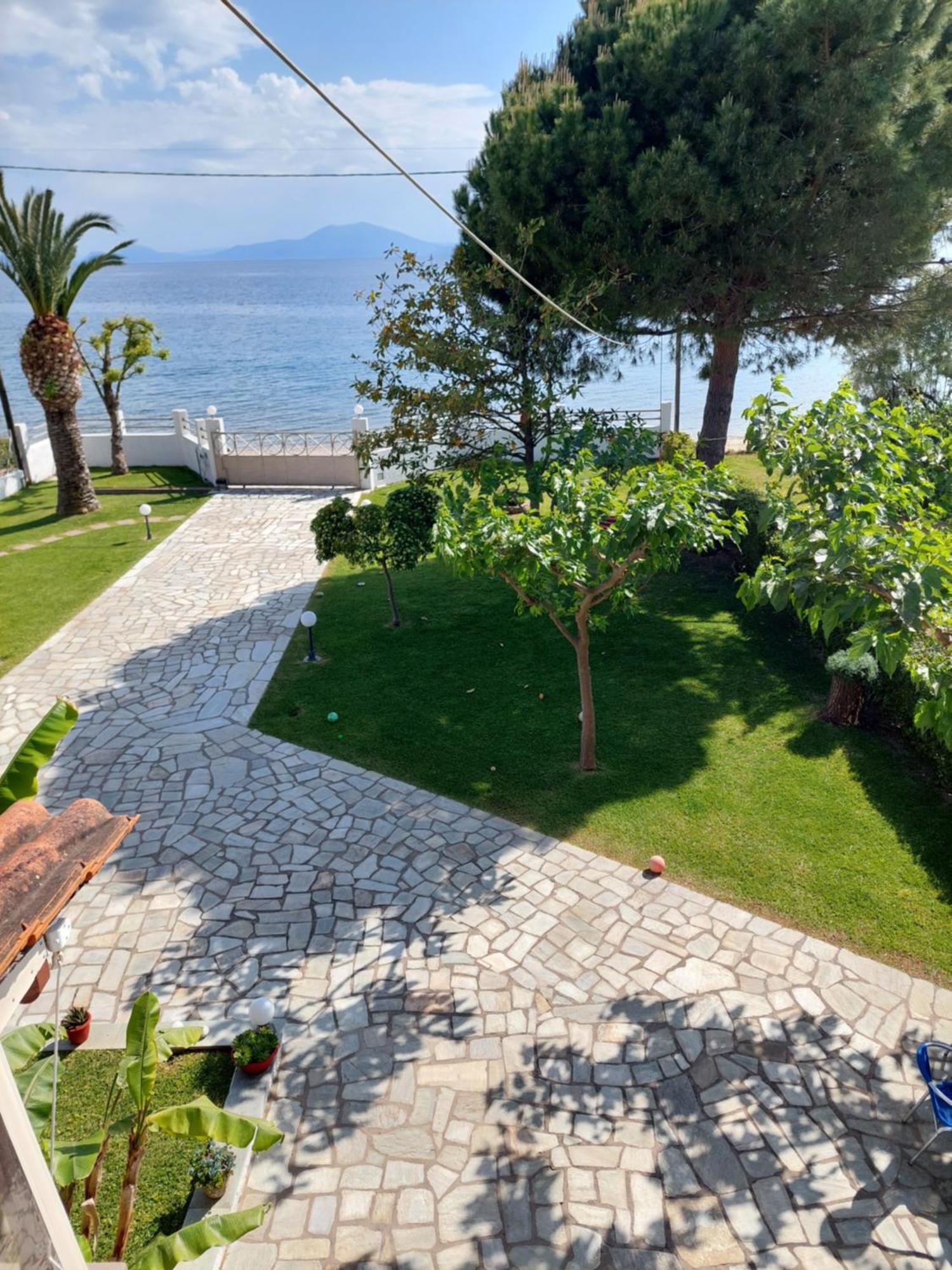 Platanidia Apartment Pelion Kültér fotó